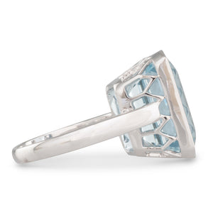 12.60ct Aquamarine Ring