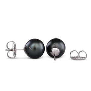 11mm Round Tahitian Pearl Studs