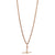 9ct Rose Gold Albert Chain