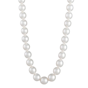 Oval White South Sea Pearl Strand